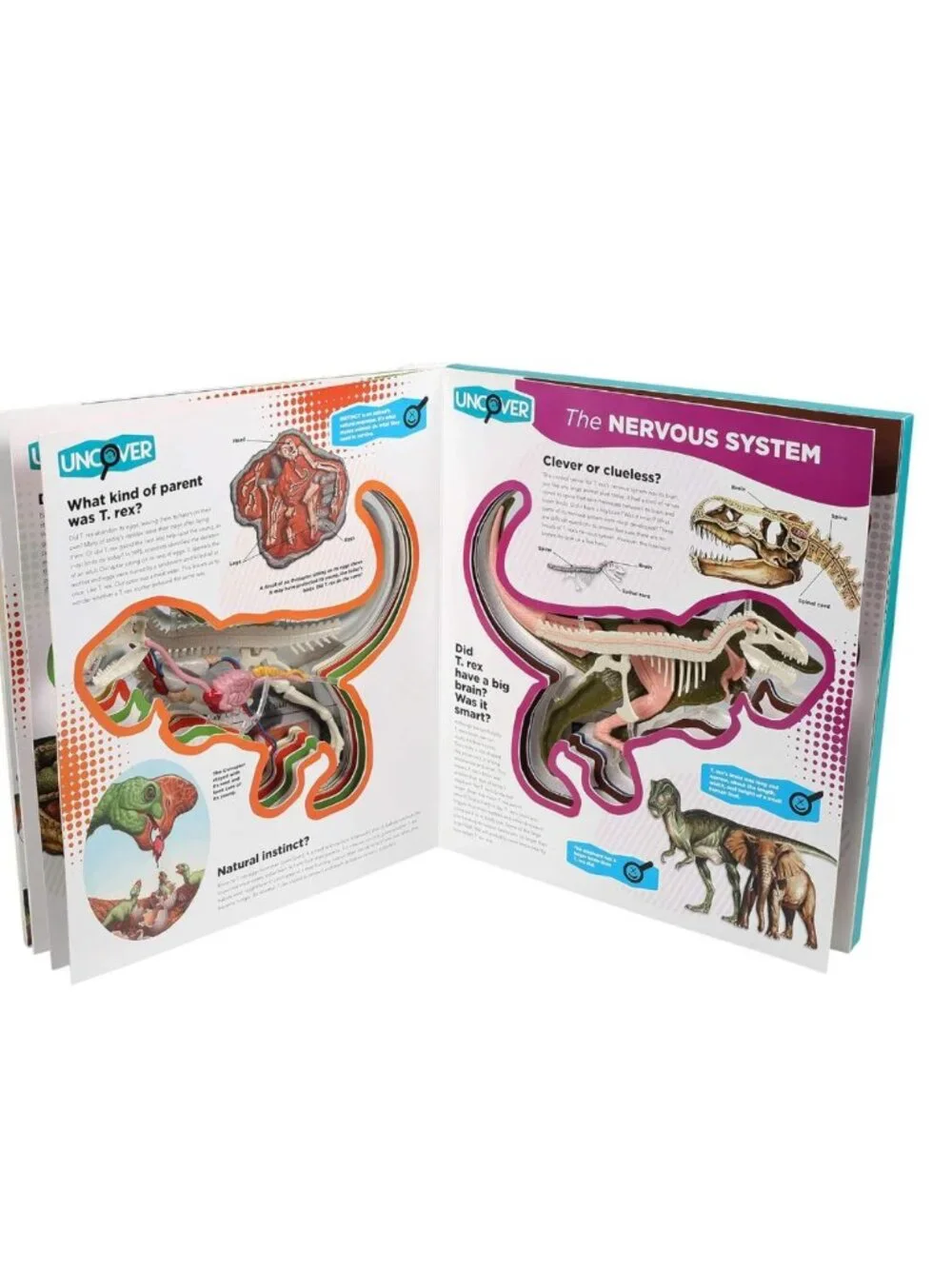 Uncover a T.Rex Hardcover 3D Book and Model